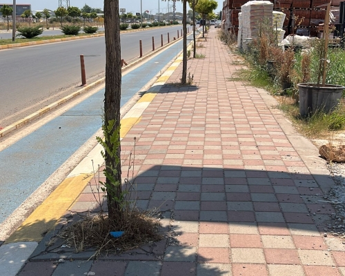 Pavement and Landscaping Work