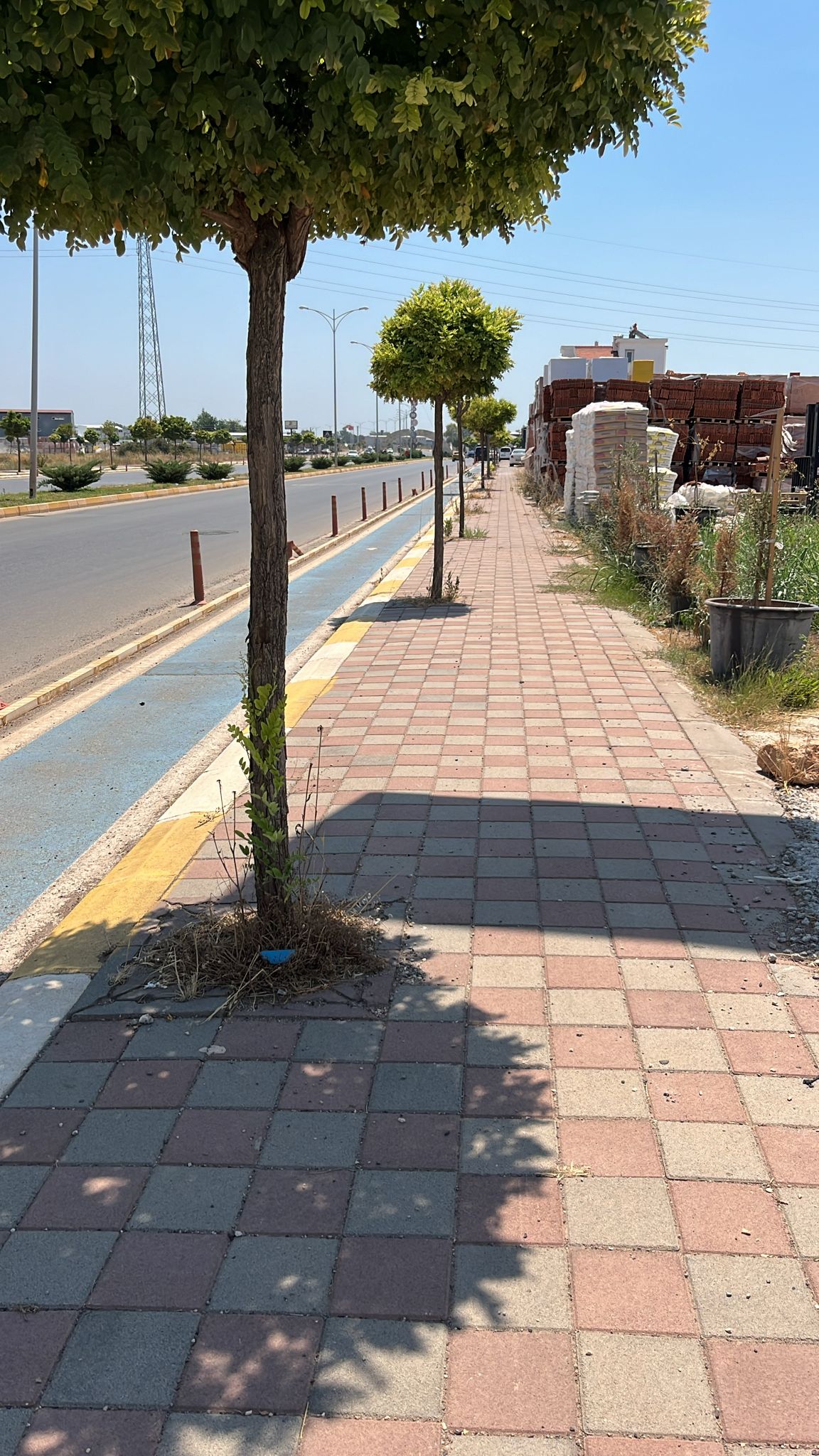 Pavement and Landscaping Work